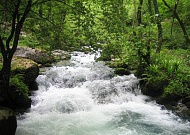 Река Псырдзха
